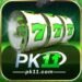 Pk11 Com APK Download